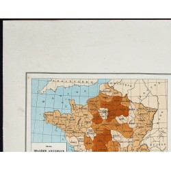 Gravure de 1873 - Élevage des espèces ovines et porcines - 2