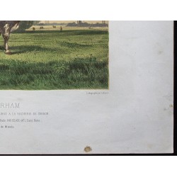 Gravure de 1873 - Taureau durham (Shorthorn) - 5