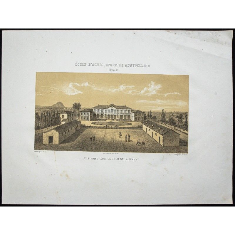 Gravure de 1873 - École d'agriculture de Montpellier - 1