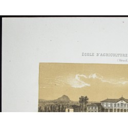 Gravure de 1873 - École d'agriculture de Montpellier - 2