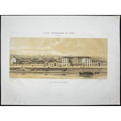 Gravure de 1873 - École vétérinaire de Lyon - 1