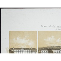 Gravure de 1873 - École vétérinaire de Toulouse - 2