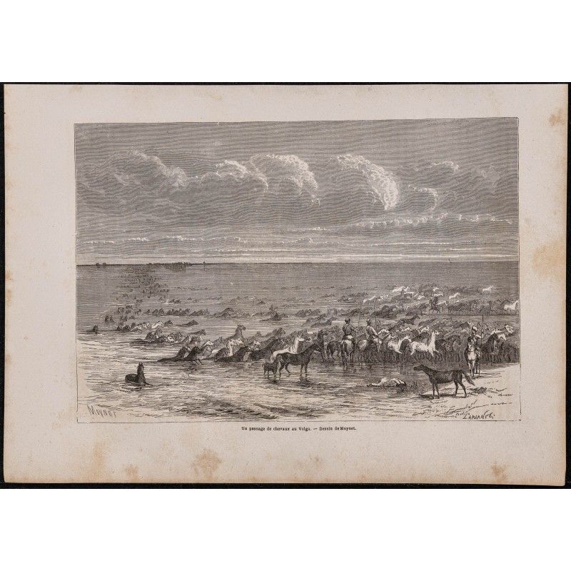 Gravure de 1867 - Troupeau de chevaux traversant la Volga - 1