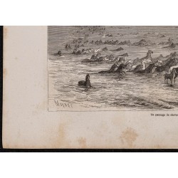 Gravure de 1867 - Troupeau de chevaux traversant la Volga - 4