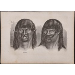 Gravure de 1867 - Indiens du Brésil et de l'Amazonie - 1