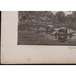 Gravure de 1867 - Village de Tonantins en Amazonie - 4