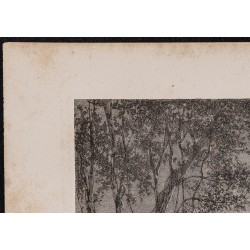 Gravure de 1867 - Effet de Lune sur le lac Juteca - 2