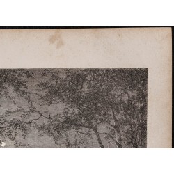 Gravure de 1867 - Effet de Lune sur le lac Juteca - 3