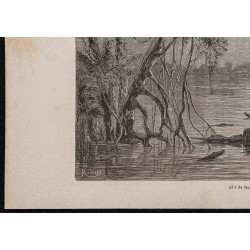 Gravure de 1867 - Effet de Lune sur le lac Juteca - 4