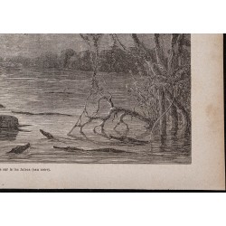 Gravure de 1867 - Effet de Lune sur le lac Juteca - 5