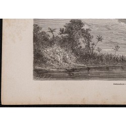 Gravure de 1867 - Ville de Coari en Amazonie - 4