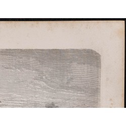 Gravure de 1867 - Ville de Manaus - 3