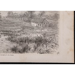 Gravure de 1867 - Ville de Manaus - 5