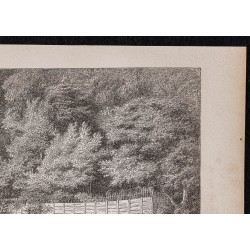 Gravure de 1867 - Véranda de l'ambassade anglaise - 3
