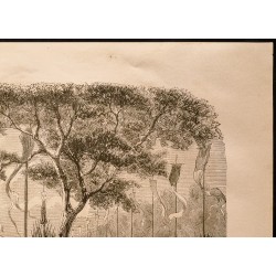 Gravure de 1860 - Toulon - Préfecture de Toulon - 3