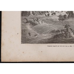 Gravure de 1867 - Régiment emporté par une crue - 4
