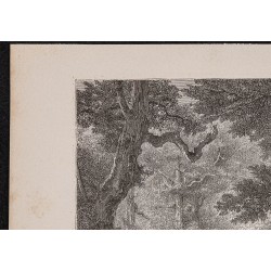Gravure de 1867 - Gros-Fouteau à Fontainebleau - 2