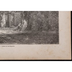 Gravure de 1867 - Gros-Fouteau à Fontainebleau - 5