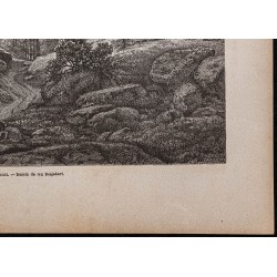 Gravure de 1867 - Les gorges d'Apremont - 5