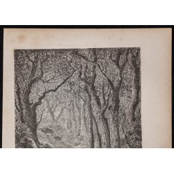 Gravure de 1867 - Gorge aux Loups - 2
