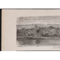 Gravure de 1867 - Curuá (Brésil) et forêt vierge - 2