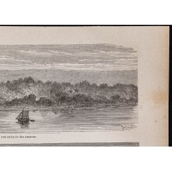 Gravure de 1867 - Curuá (Brésil) et forêt vierge - 3
