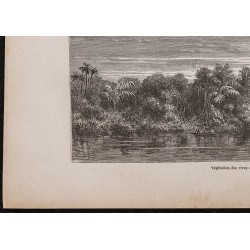 Gravure de 1867 - Curuá (Brésil) et forêt vierge - 4