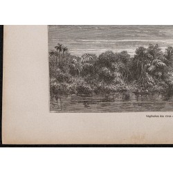 Gravure de 1867 - Curuá (Brésil) et forêt vierge - 4