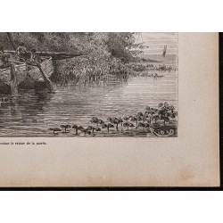 Gravure de 1867 - Indiens tapuyas (Pira-tapuya) - 5