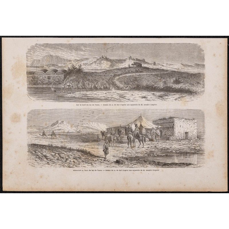 Gravure de 1865 - Lac de Tunis - 1