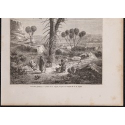 Gravure de 1865 - Palmier doum d'Égypte - 3