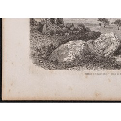 Gravure de 1865 - Sebderat (Érythrée) - 4
