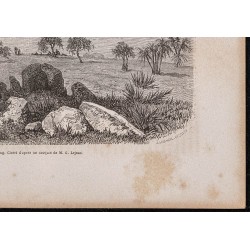 Gravure de 1865 - Sebderat (Érythrée) - 5