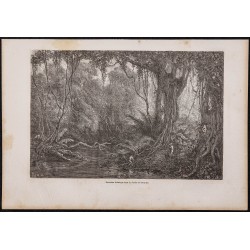 Gravure de 1865 - Excursion botanique (Pérou) - 1