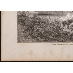 Gravure de 1865 - Traversée de l'Ienisseï - 4