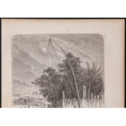 Gravure de 1865 - Balançoire des maoris - 2
