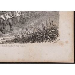 Gravure de 1865 - Haka des Maoris - 5