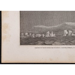 Gravure de 1865 - Aurore boréale à Bossekop (Norvège) - 4