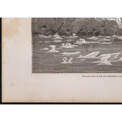 Gravure de 1865 - Baie de la Madeleine (Spitzberg) - 4