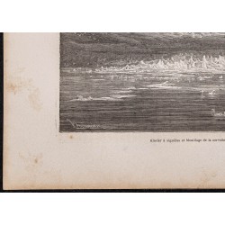 Gravure de 1865 - Glacier à aiguilles au Spitzberg - 4