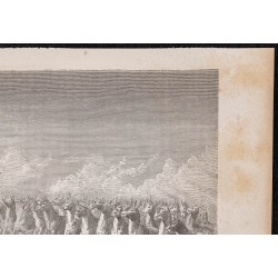 Gravure de 1865 - Ânes (Hémiones) au Kaplankyr - 3