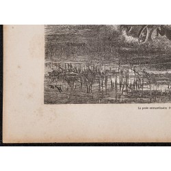 Gravure de 1865 - La poste en Télègue - 4