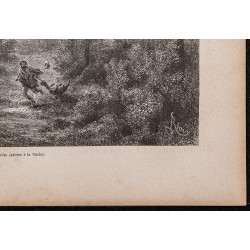 Gravure de 1865 - Fourmilier mort dans une forêt - 5