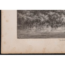 Gravure de 1865 - Sierra de San Carlos (Pérou) - 4