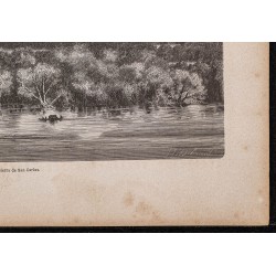 Gravure de 1865 - Sierra de San Carlos (Pérou) - 5