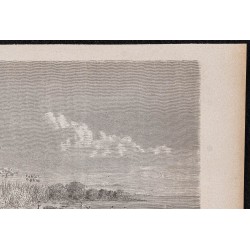 Gravure de 1865 - Capture de lamantins - 3