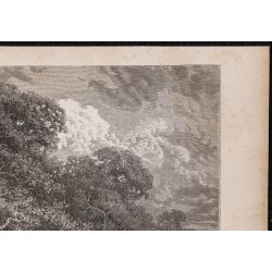 Gravure de 1865 - Île du rio Ucayali au Pérou - 3