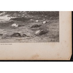Gravure de 1865 - Coup de vent sur la rivière Ucayali - 5