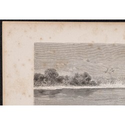 Gravure de 1865 - Rio Ucayali et Marañón - 2