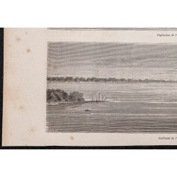 Gravure de 1865 - Rio Ucayali et Marañón - 4